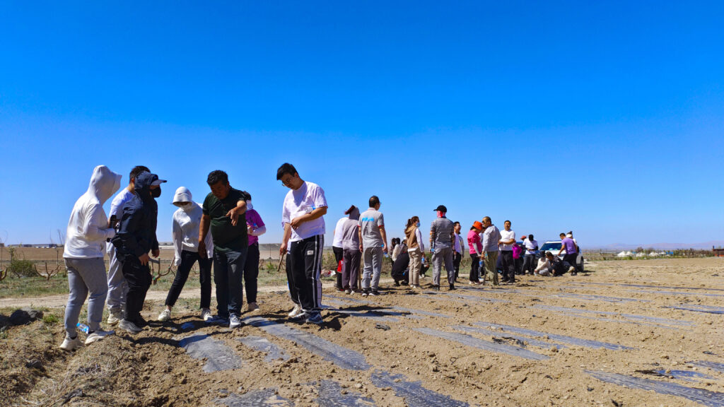 走进田园 播种希望|万事博物流春种团建活动