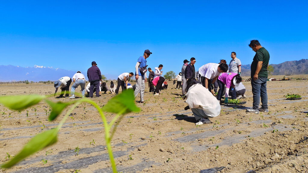 走进田园 播种希望|万事博物流春种团建活动
