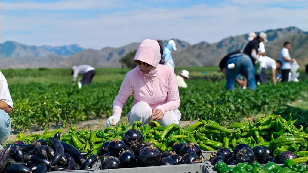 夏日最美群像 | 万事博物流2024年中团建特辑
